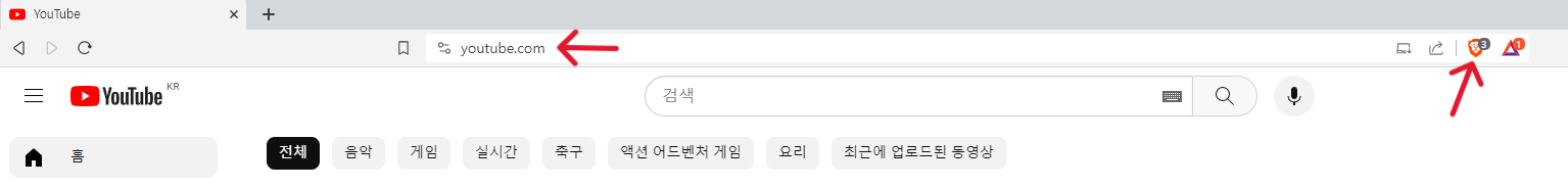 Brave 브라우저-주소창