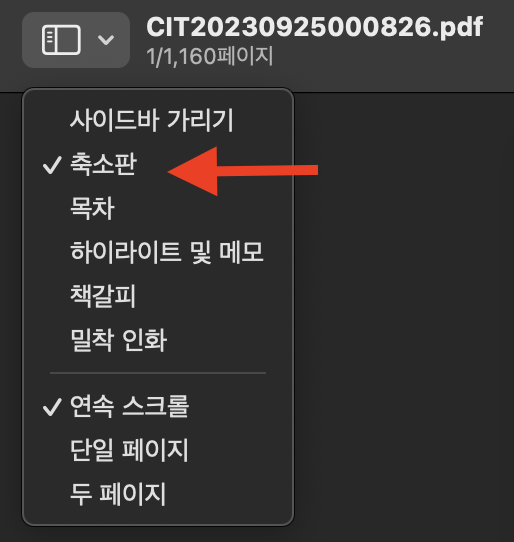macOS-pdf-미리보기