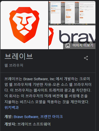 유튜브 애드블록 막힘-해결방법-Brave