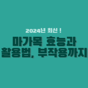 마가목-효능-7가지-썸네일