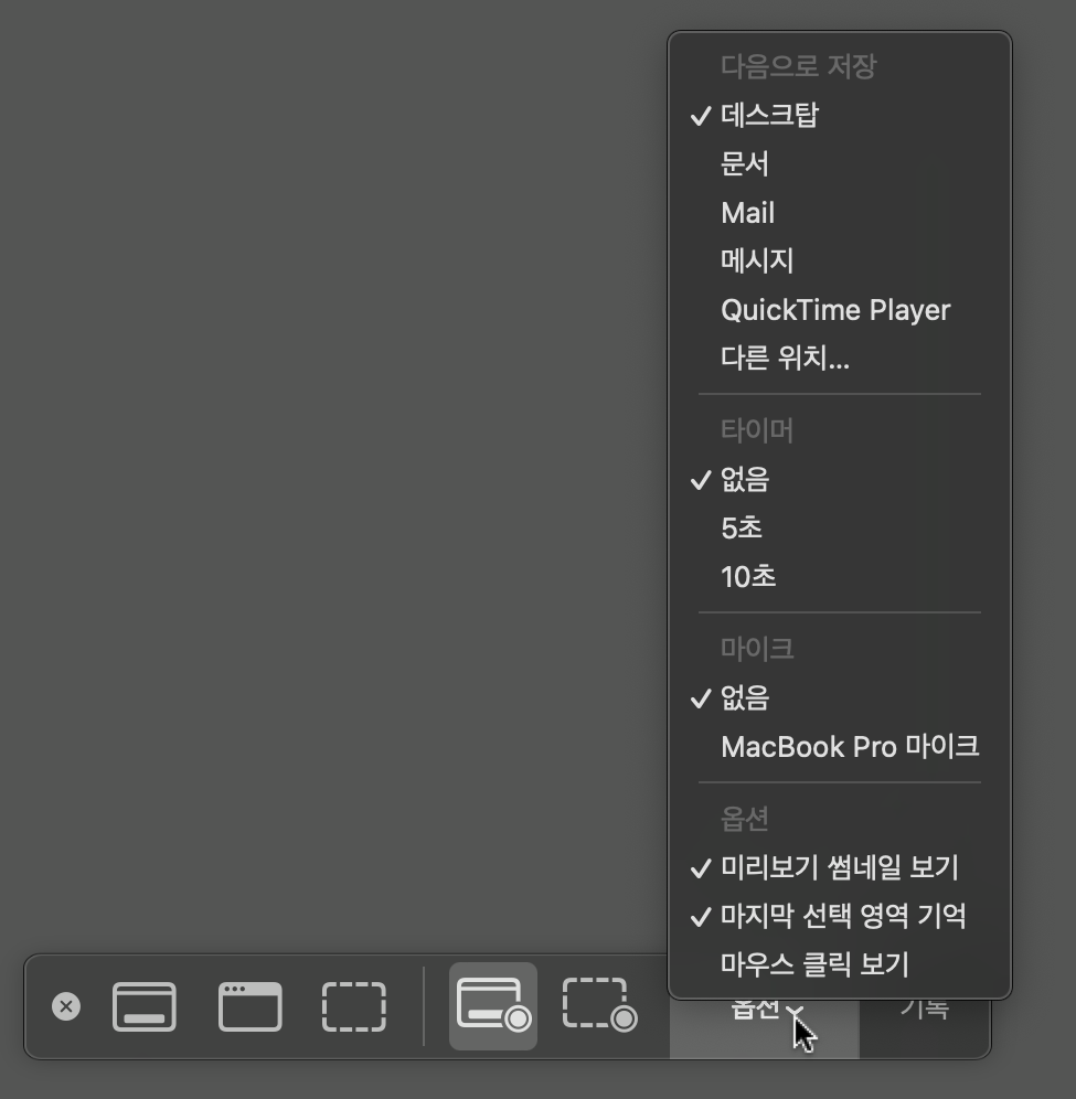 맥북-화면-기록-스크린샷 도구-옵션